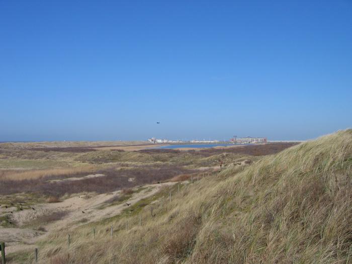 duin 001.jpg